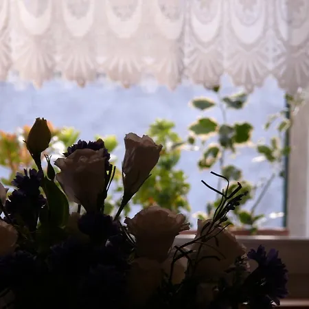 Leon D'oro Bed & Breakfast 2*